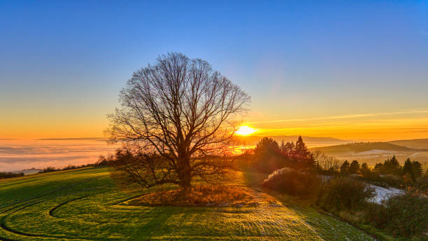 istock Aerial view in nature at sunset 2189578722