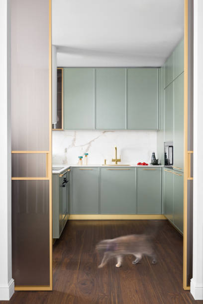 istock A Stylish and Modern Kitchen Featuring an Elegant Design Accompanied by a Feline Companion 2189579579