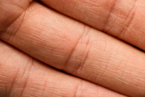 A detailed view of a human palm, showcasing intricate skin textures and lines for diverse themes and art