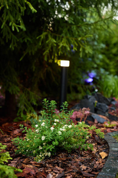 istock A Beautiful Path Through a Garden Featuring Enchanting Ambient Lighting and Lush Flowers 2189581287