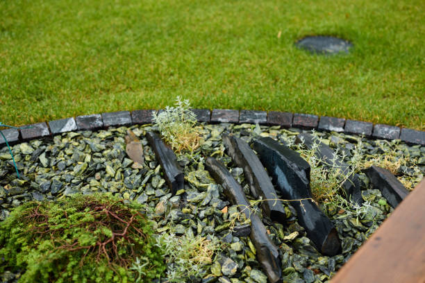 A serene and tranquil rock garden featuring sleek, smooth stones, vibrant green grass, and delicate plants that thrive
