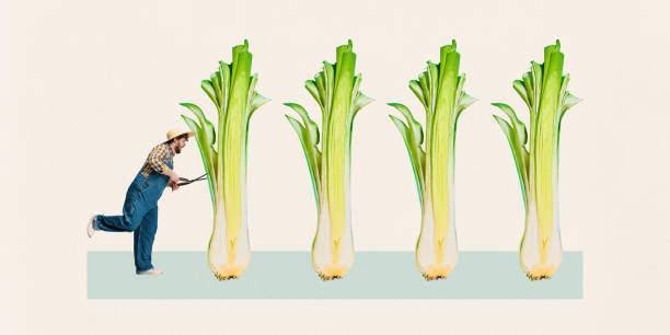 Man, farmer in overalls trimming massive celery stalks in artistic farming-themed composition against light background. Contemporary art collage.