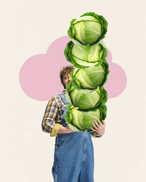 Man, farmer in overalls holding stack of large cabbages against light background. Contemporary art collage.