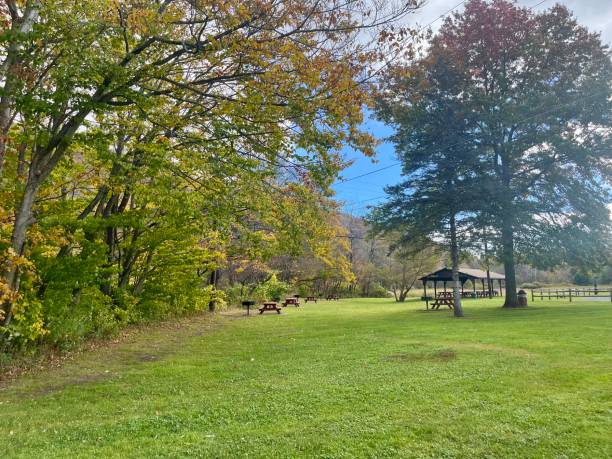 istock Livingston Manor Bridge Park 2189589061
