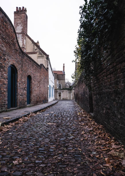 istock Autumn Leaves On A Cobbled Back Street In York 2189590064