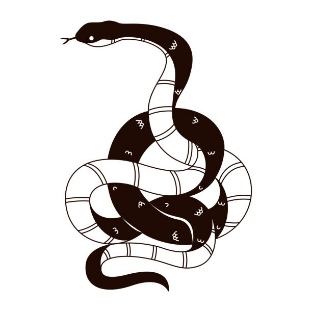 istock Vector Chinese New Year Snake Ornament Cartoon Illustration Isolated 2189592054