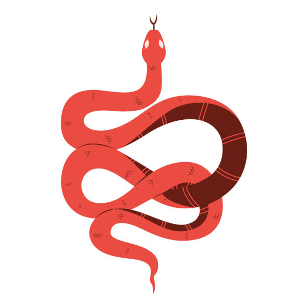 istock Vector Chinese New Year Snake Ornament Cartoon Illustration Isolated 2189592621