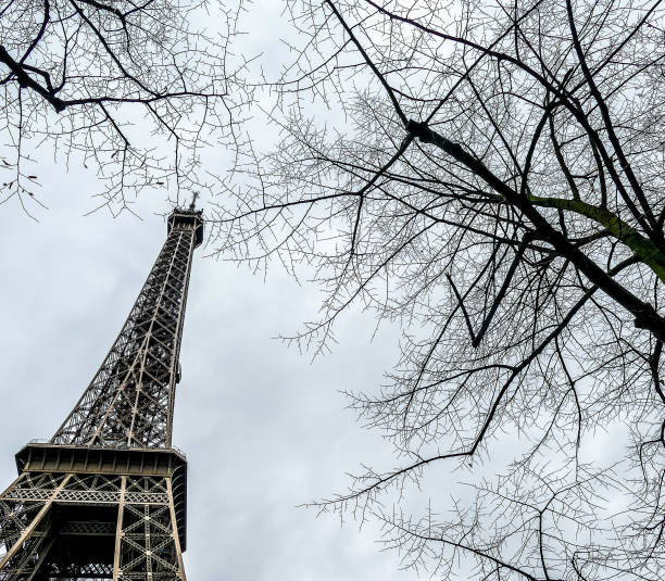Detail of the Eiffel Tower