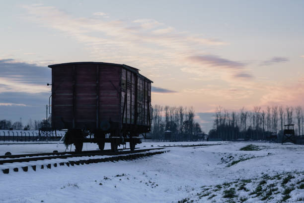 Auschwitz, Poland - November 30, 2023: A barbed-wire fence cuts across a snowy field under a purple-pink winter sunset. The skeletal remains of barracks stretch into the horizon, marking a stark reminder of Auschwitz’s somber past. The quiet, desolate atmosphere contrasts with the soft sky, stirring reflection.