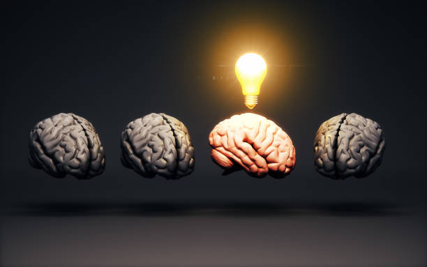 istock Selected Brain with Burning Light Bulb Among Gray Human Brains on Black Background, Brainstorming on Creative Idea Concept 2189600474