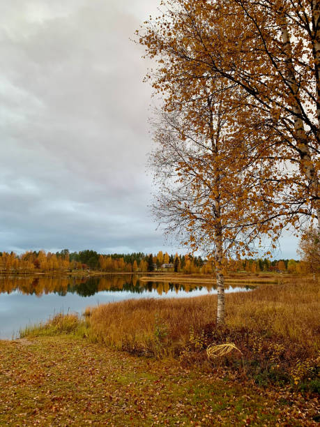 The peaceful lakeside is adorned with vibrant autumn foliage, creating a picturesque view. The still waters reflect the colors of nature, inviting tranquility.