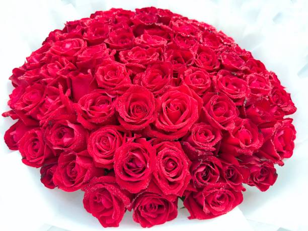 istock A beautiful rose in full bloom, surrounded by blurred greenery. The delicately layered petals reveal bright, warm colors, with natural gradations. 2189600538