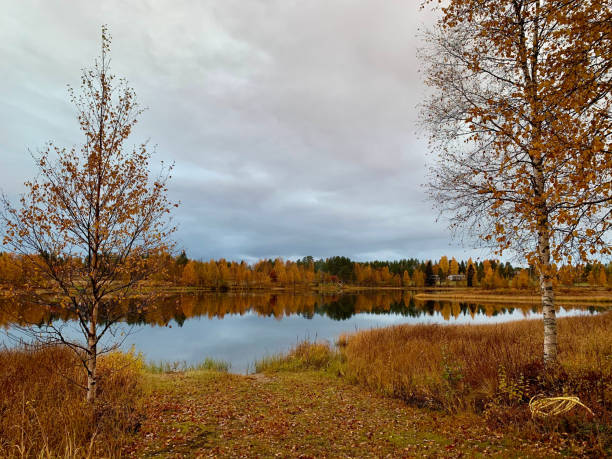 Golden autumn leaves surround a still lake, reflecting the vibrant colors of nature. The calm waters mirror the beauty of the trees, inviting peaceful contemplation.