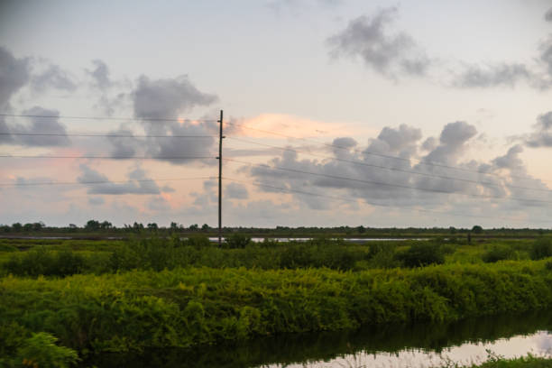 Berbice, Guyana - Farmland with Power lines
