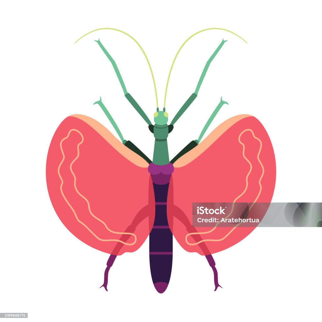 Stick Insect Fun Cartoon Vector Stick Bug Insect Cartoon Illustration Isolated Stock ...