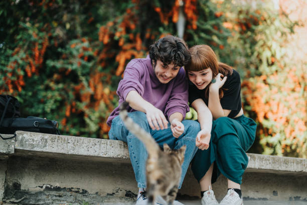 istock Couple enjoying time outdoors interacting with a small cat on a bench 2189608856