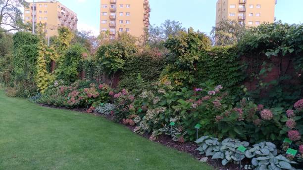 istock colorful plant compositions in a botanical garden 2189618892