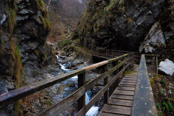 istock wooden bridge over the river 2189627128