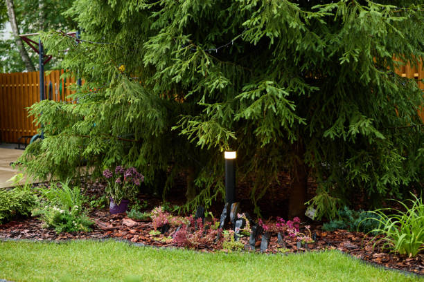 istock A Tranquil and Serene Garden Enhanced with Beautiful LED Lighting Placed Under a Tree 2189632275