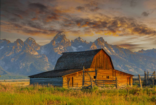 Set against the rugged beauty of the Teton Range, the John and Bartha Moulton Homestead on Mormon Row is a testament to early 20th-century homesteading. Established in 1908 as part of the area's Mormon settlement, the couple lived in a small log cabin for 17 years.  Eventually, John and Bartha built a pink stucco house to live in and a log barn to house their cows and horses.  They worked tirelessly to create a self-sufficient life in the Jackson Hole Valley. Today, the homestead stands as a cherished landmark within Grand Teton National Park, reflecting the resilience and vision of its pioneers.  Mormon Row is in Grand Teton National Park near Jackson, Wyoming, USA.