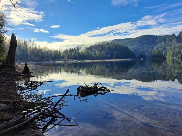 istock Buntzen Lake truck root 2189638050