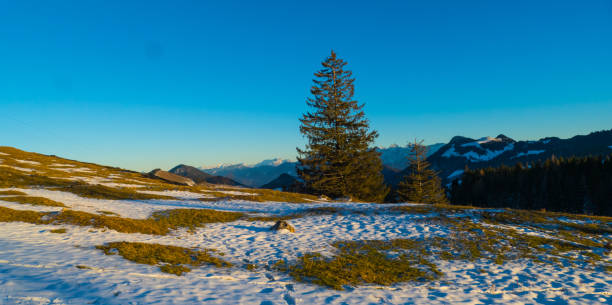 istock Snowy Landscape Panorama Mountain Wendelstein Germany 2189641304