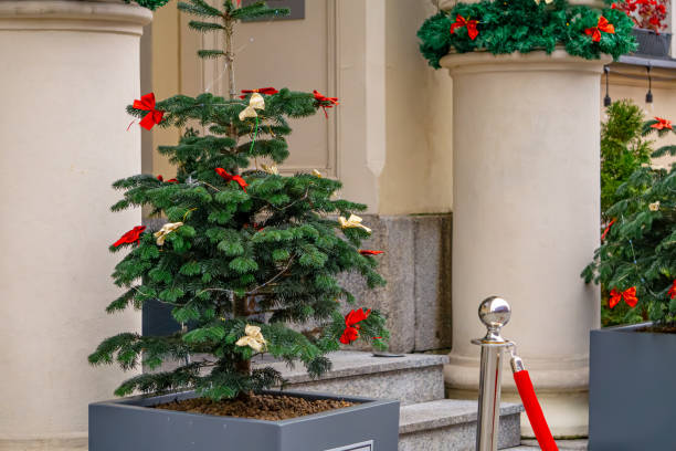 istock Christmas decorations and decorations outdoors in front of a white building. green garlands and Christmas trees decorated with ribbons and baubles 2189641547