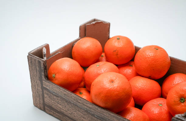 Vegan snacks in a plastic box