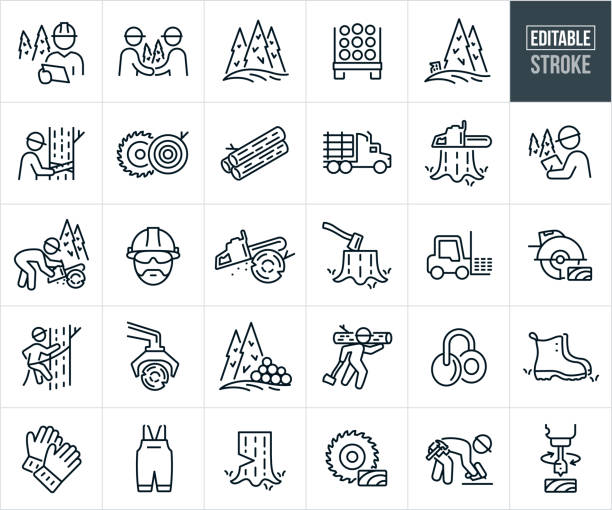 Logging Industry Thin Line Icons - Editable Stroke - Icons Include, Loggers, Lumberjacks, Arborist, Timer, Lumber, Cutting Trees, Trees, Harvesting, Sawmill, Chainsaw, Ax, Deforestation, Timber, Pine Trees, Logging Truck A set of logging industry icons that include editable strokes or outlines using the EPS vector file. The icons include a logger reviewing logging plans, loggers agreeing on logging arrangement with a handshake, forest of pine trees, logging truck with logs stacked in the back, cut trees from logging, lumberjack measuring a tree before cutting down, saw blade cutting through log, stack of harvested logs, semi truck loaded with logs, logging truck, chainsaw on tree stump, lumberjack using a chainsaw to cut a log while logging, lumber industry, logger wearing a hard hat and safety glasses, chainsaw cutting through log, ax in cut down tree stump, forklift transporting lumber, electric saw cutting a board, logger climbing tree, logging equipment, stacked harvested logs in forest from logging efforts, lumberjack carrying a log on shoulder and an ax in the other hands, ear protection, boots, work gloves, works suspenders, work cloths, safety gear and other related icons. arborist icon stock illustrations