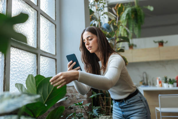 istock Woman checking her houseplants with a smartphone app 2189664165