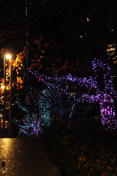istock Christmas Time in the City #1 2189673452
