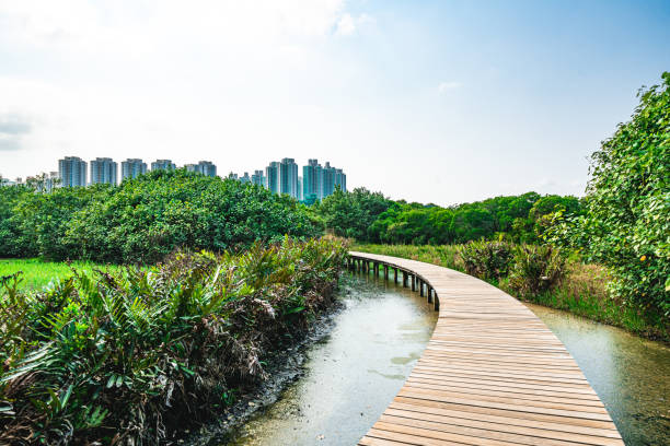 istock Boardwalk of tranquil landscape in Green Park 2189673780