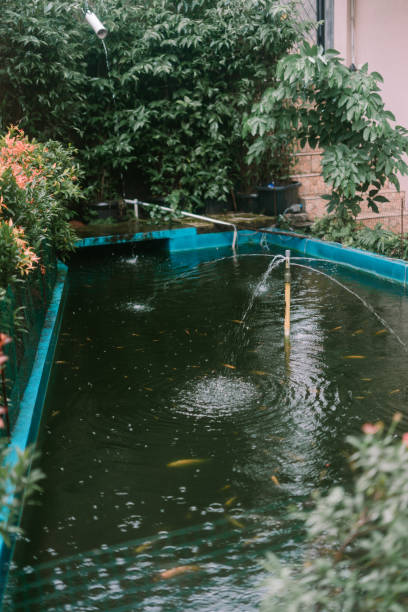 istock A fish pond with a simple water fountain made from a PVC pipe 2189674515