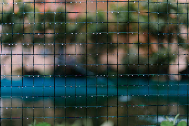 Wire mesh netting soaked from rain, with water droplets hanging on its surface, capturing the aftermath of a rainy day in an industrial or outdoor setting.