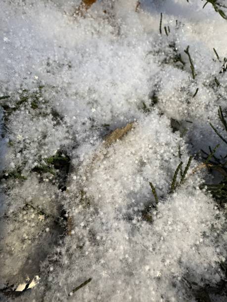 istock Freshly-fallen snow in a public park 2189676793