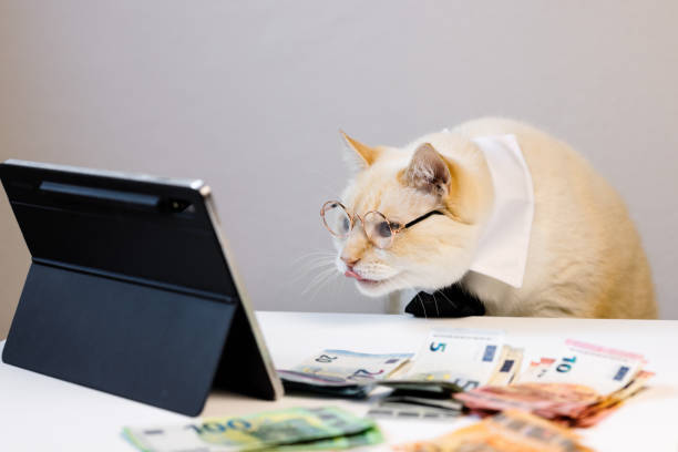 istock Cat wearing glasses, a white collar, and a black tie sits looks focused on a tablet screen, as if working on finances. Euro bills on the table 2189677372