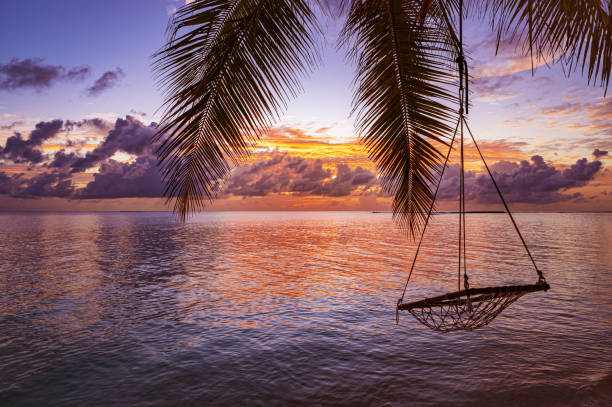 istock Maldivian tropical paradise beach with dramatic sky and colorfull clouds during the sunset 2189691610