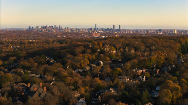 istock boston cityscape over the trees 2189692404