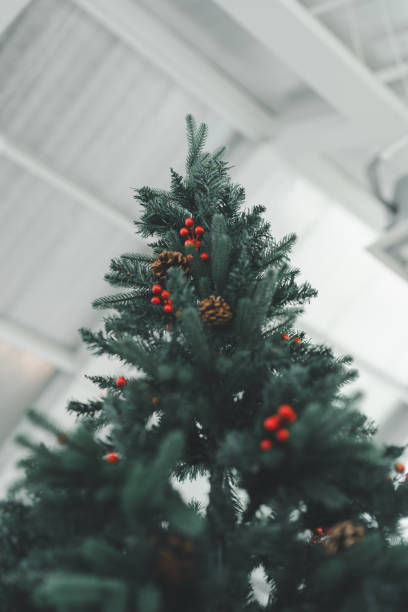 istock Festive Christmas Tree Decorated with Red Berries and Pine Cones. Greenery Against a Modern Indoor Ceiling. Minimalist Holiday Decoration Capturing the Spirit of Christmas. 2189700134