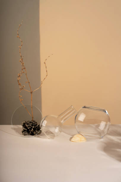 istock Composition empty podium material tree stone dry flowers glass. Product presentation. Background mocha olor. Beautiful background from natural materials 2189706411