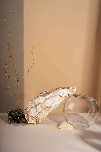 istock Composition empty podium material tree stone dry flowers glass. Product presentation. Background mocha olor. Beautiful background from natural materials 2189706442