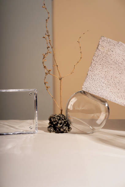 istock Composition empty podium material tree stone dry flowers glass. Product presentation. Background mocha olor. Beautiful background from natural materials 2189706444