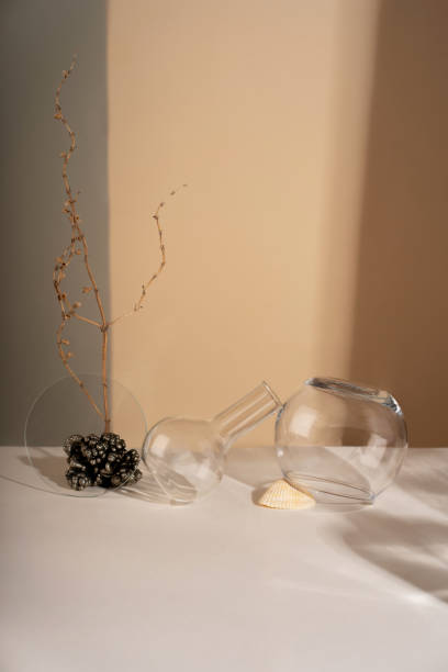 istock Composition empty podium material tree stone dry flowers glass. Product presentation. Background mocha olor. Beautiful background from natural materials 2189706473