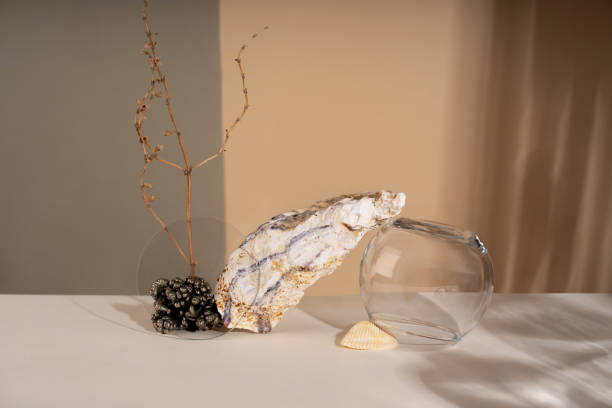Composition empty podium material tree stone dry flowers glass. Product presentation. Background mocha olor. Beautiful background from natural materials
