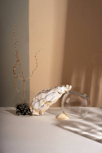 istock Composition empty podium material tree stone dry flowers glass. Product presentation. Background mocha olor. Beautiful background from natural materials 2189706534