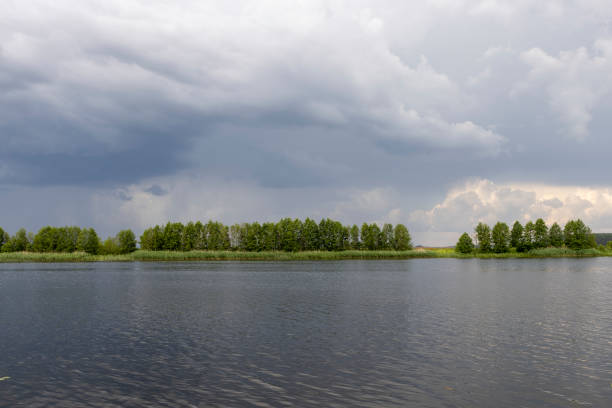 lake and trees on the shore before a storm, lake and sky with clouds in cloudy weather