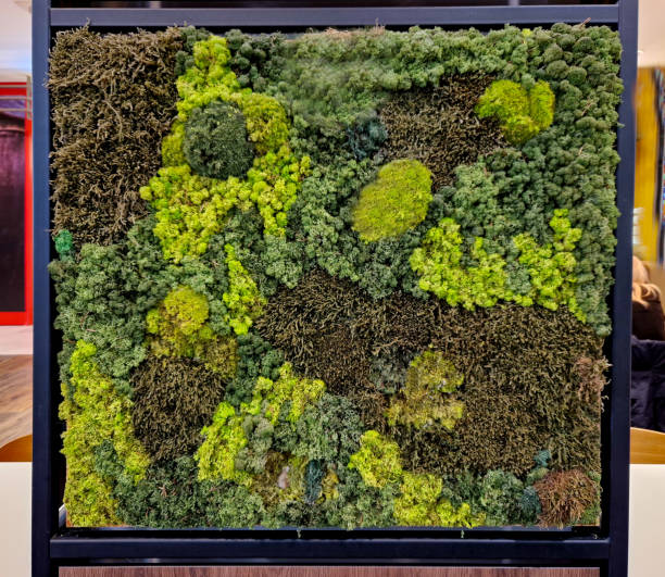 abstract composition moss painting is created from flat and mounded moss in various shades of green, mummified with permanent colors that do not fade