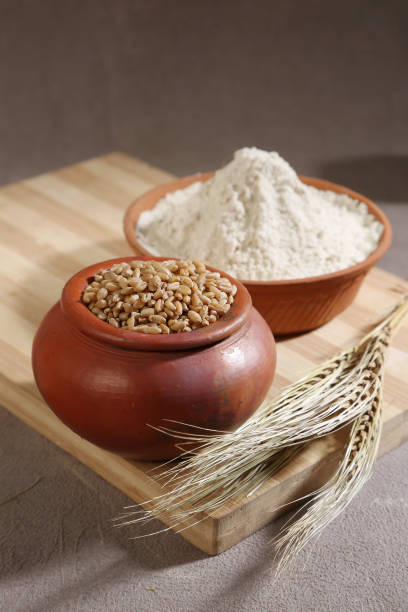 istock Indian Fresh Wheat With Wheat Flour 2189714562