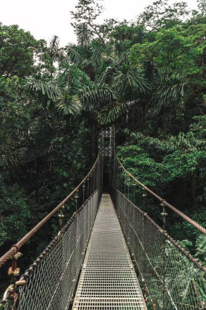 istock Arenal Hanging Bridge, Costa Rica 2189714952