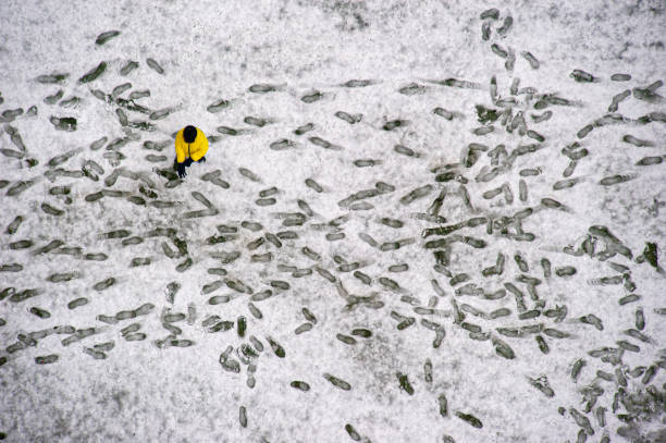 Footprints on the snow and a young person playing with the snow